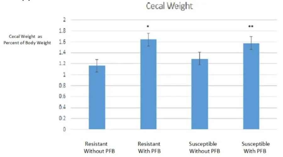 Cecal weight endpoint as reported in the study