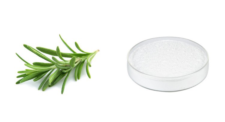 product-1-1 rosemary extract_