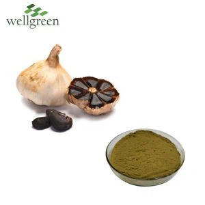 Black Garlic Powder