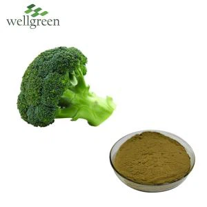 Broccoli Extract
