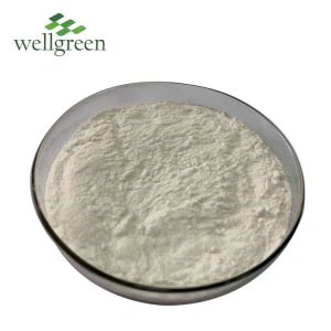 Chicory Root Extract Powder