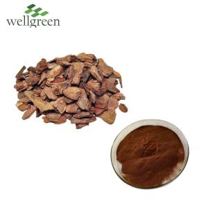 Pine Bark Extract Powder