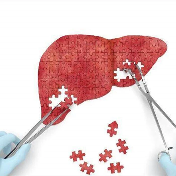 Plant Extracts Repair Liver Health Holes