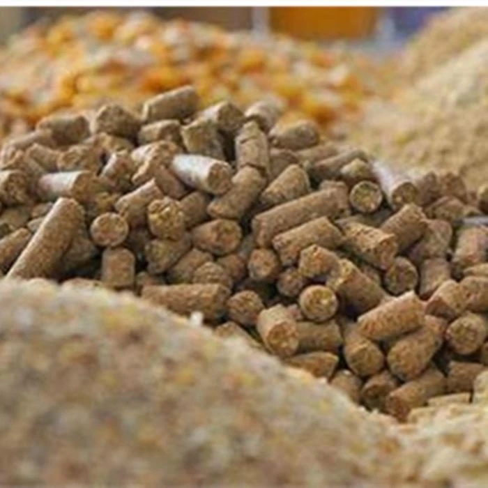 Feed With Plant Extracts