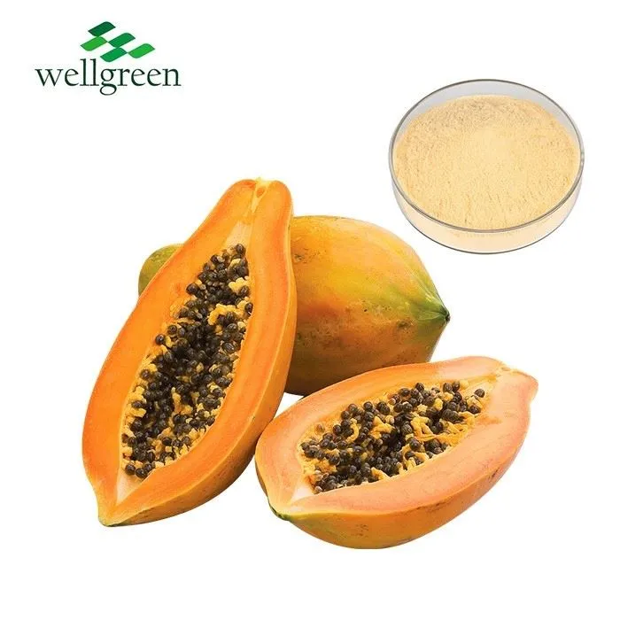 Papaya Fruit Powder