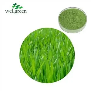 Barley Grass Extract Powder