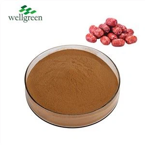 Jujube Extract Powder