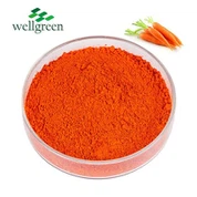 Beta Carotene 10% Powder