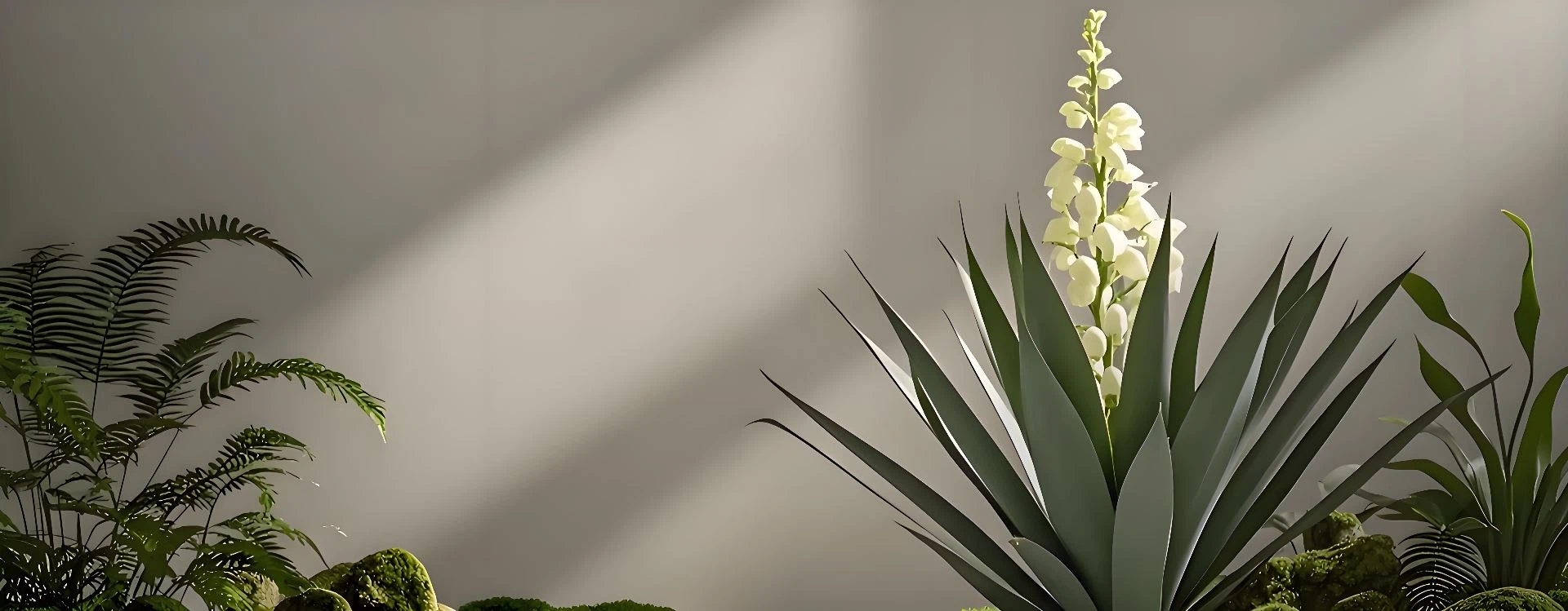 Natural Yucca Extract Solution by Wellgreen - Purity and Performance in Every Batch