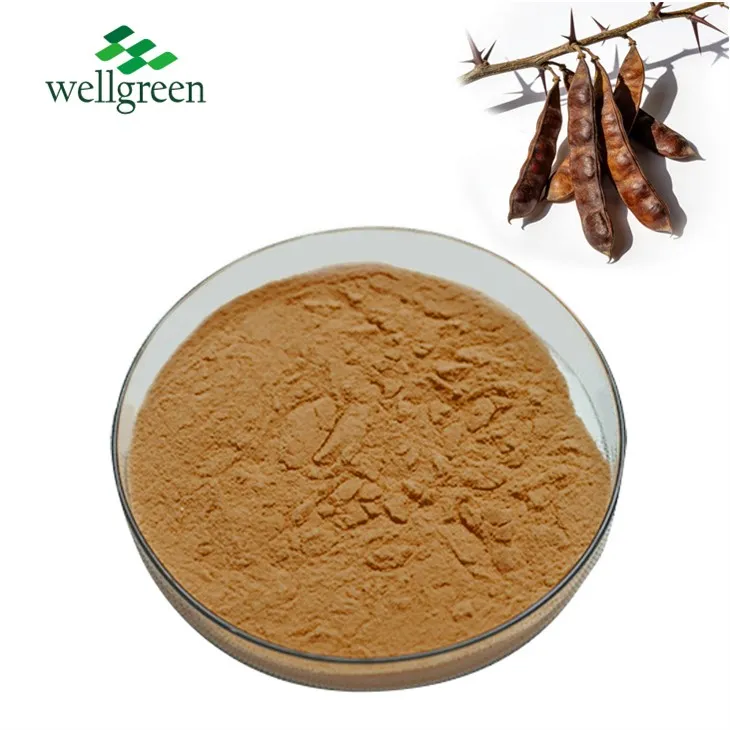 Gleditsia Sinensis Extract Powder