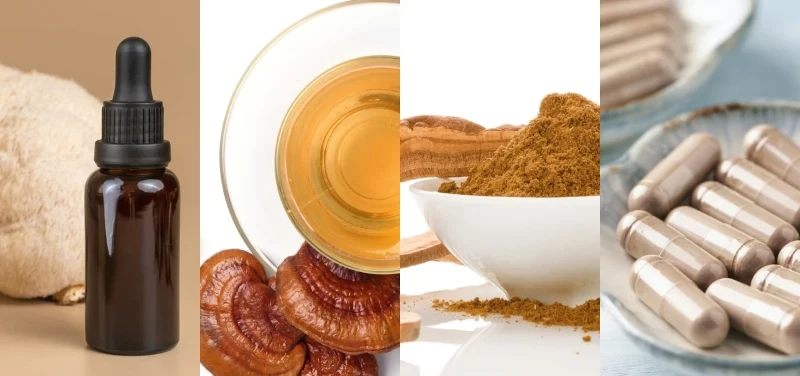 supplement-comparison-cover-pic-02-1 supplement-comparison-cover-pic-02-1