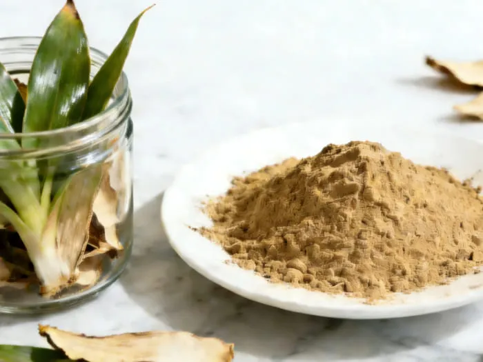 Yucca Extract Powder Yucca Extract Powder