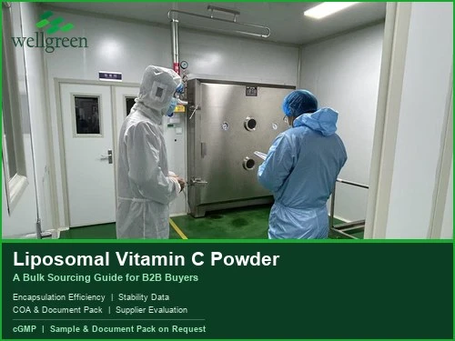 Liposomal Vitamin C Powder: A Bulk Sourcing Guide