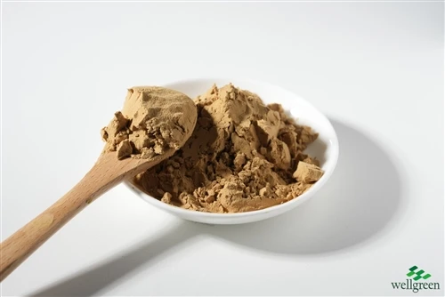 info-500-1 Yucca extract powder sample, a saponin-rich plant additive used in poultry feed specifications