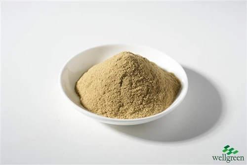 info-500-1 Botanical extract powder sample in a white dish on a laboratory bench