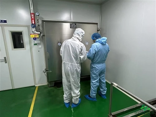 info-500-1 Production area with operators in protective clothing for lot handling