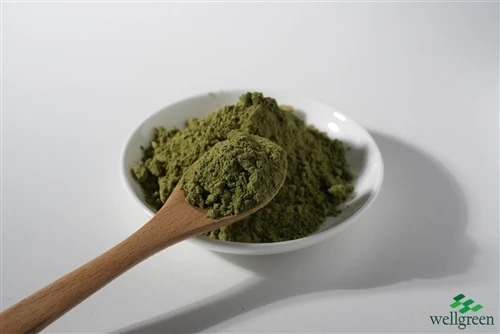 Green leaf powder sample with a spoon in a white dish