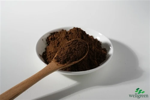 Dark brown mushroom extract powder sample with a scoop in a white dish