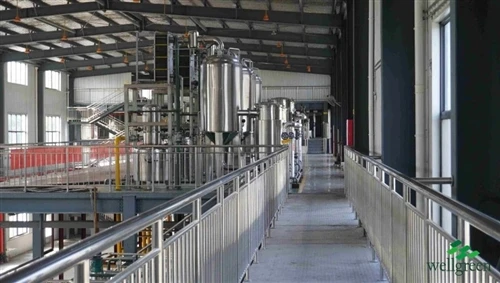 Stainless steel extraction and processing equipment in a botanical workshop