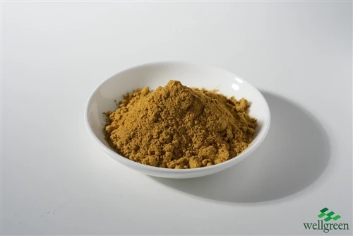 Orange-yellow fruit powder sample in a white dish