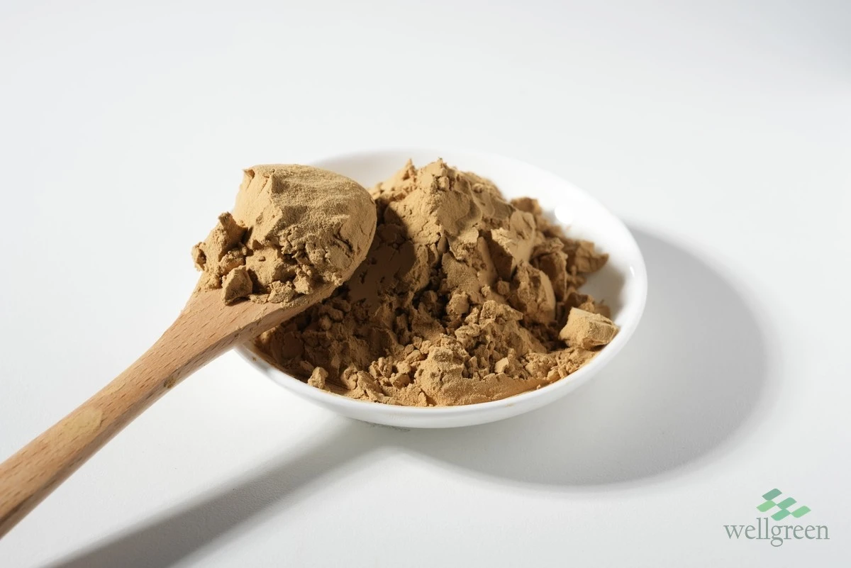 Yucca schidigera extract powder sample in a white dish