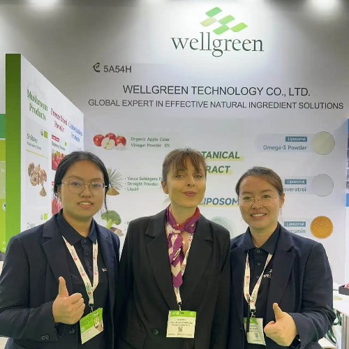 Wellgreen Client Chat Wellgreen Client Chat