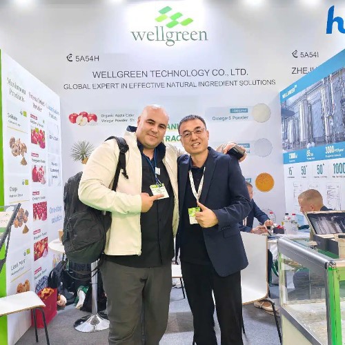 Wellgreen CEO shakes hands with a new partner after a productive meeting Wellgreen CEO shakes hands with a new partner after a productive meeting