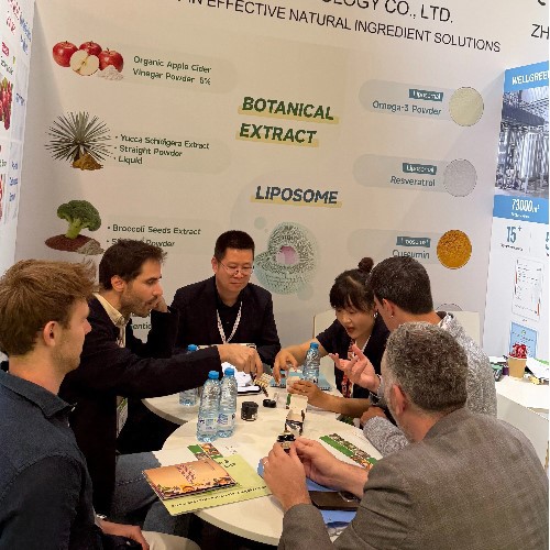 Wellgreen team engages in technical talk with visitors at booth 5A54H Wellgreen team engages in technical talk with visitors at booth 5A54H