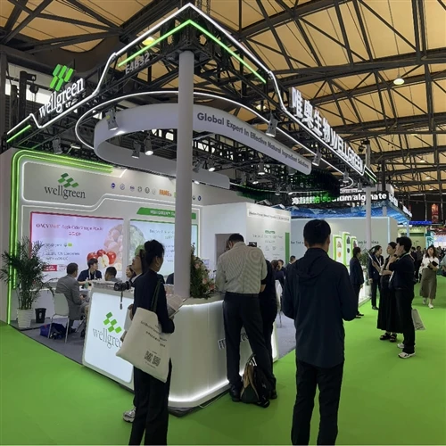 Live At CPHI China: Wellgreen Highlights Advanced Delivery At Booth E4B32