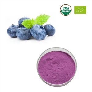organic-blueberry-powder11d0b052-fd3d-47a2-9ffd-8bc9544da428 organic-blueberry-powder11d0b052-fd3d-47a2-9ffd-8bc9544da428