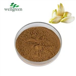 chicory-extract51267603320 chicory-extract51267603320