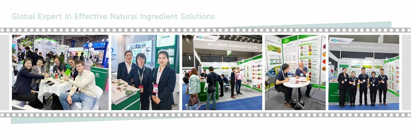 Wellgreen EXHIBITION photo Wellgreen EXHIBITION photo